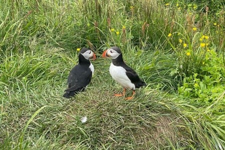 Island - velký turistický a poznávací okruh - 63