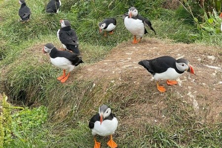 Island - velký turistický a poznávací okruh - 20