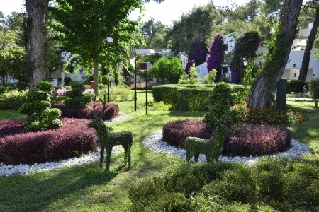 Turecko Kemer Emelda Sun Club 15 dňový pobyt Ultra All inclusive Letecky Letisko: Bratislava August 2026 (23/08/26- 6/09/26)