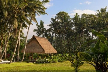 Ubud Village Resort & Spa - 3