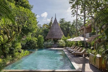 The Alena Resort - 3