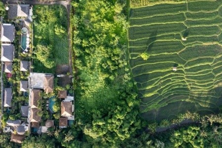 The Alena Resort - 4