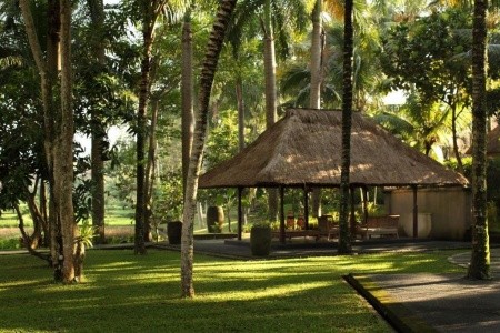Ubud Village Resort & Spa - 6