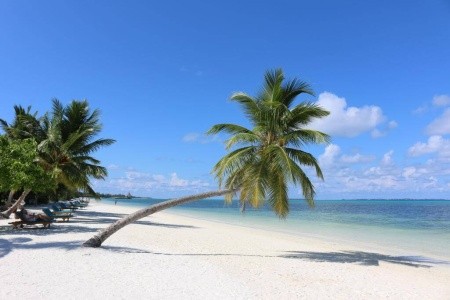 Canareef Resort Maldives (Herathera) - 2