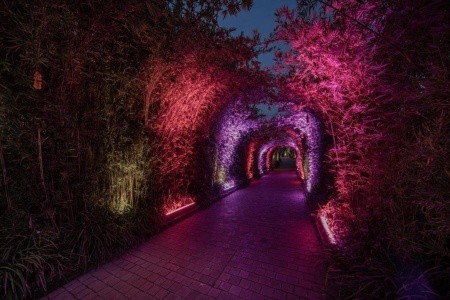 Kaamala Resort Ubud - 9