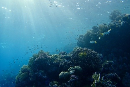 Royal Brayka Resort - 25