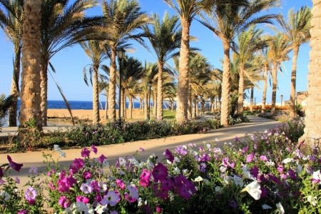 Royal Brayka Resort - 27