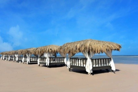 Egypt Sharm El Sheikh Steigenberger Alcazar 8 dňový pobyt All Inclusive Letecky Letisko: Praha February 2026 ( 7/02/26-14/02/26)