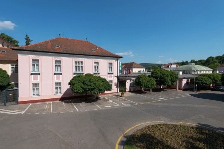 Ensana Pro Patria Health Spa - 2