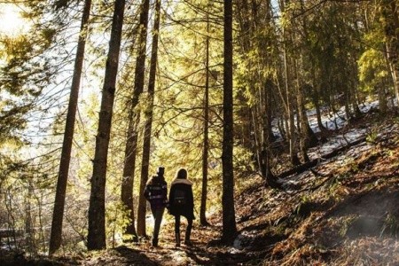 Poľsko Dolní Slezsko Vilky Termy Karkonosze 3 dňový pobyt Raňajky Vlastná November 2026 ( 1/11/26- 3/11/26)