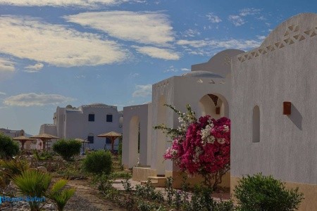 Beach Safari Nubian Resort - 10