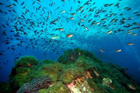 Chrámy a příroda jižního Thajska - 8