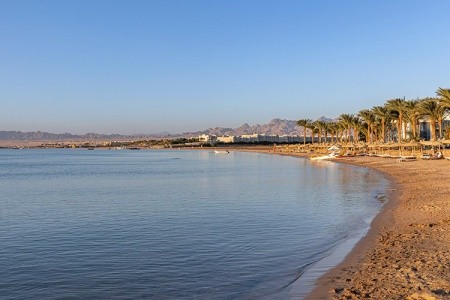 Palm Royale Resort Soma Bay - 15