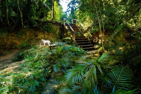 To nejlepší z Yucatánu 11 dní - 9