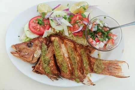 To nejlepší z Yucatánu 11 dní - 11