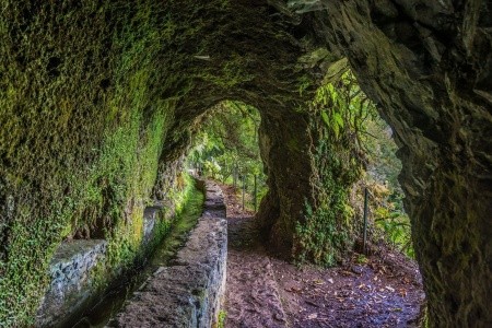 Relax na Madeiře - 2
