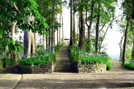 Relax na Madeiře - 26