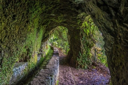 Relax na Madeiře - 32