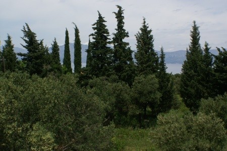 Apartmány 3298-836 - 26