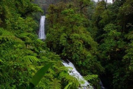 COSTA RICA, JAMAICAI PIHENÉSSEL