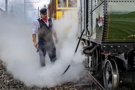 Bernina Express a parní zubačka na Rigi - 21