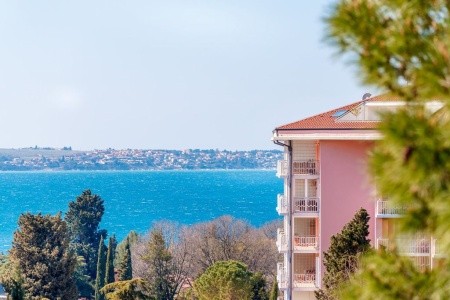 Socializing Hotel Mirna