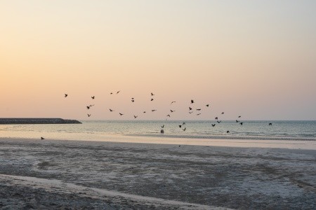 The Cove Rotana Resort - 74