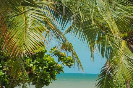 Pinnacle Grand Jomtien Resort & Spa - 74