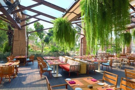 Centara Grand Mirage Beach Resort - 49