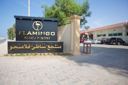 Flamingo Beach Resort - 8