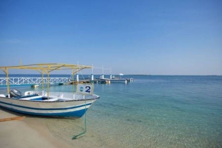 Flamingo Beach Resort - 43