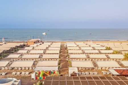 Royal Taj Mahal - 101