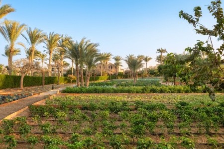 Mövenpick Resort El Quseir - 14