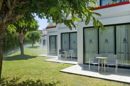 Alexandre Gala (Ex. Lti Gala) - 4