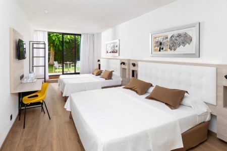 Alexandre Gala (Ex. Lti Gala) - 15