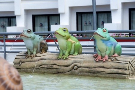 Alexandre Gala (Ex. Lti Gala) - 32