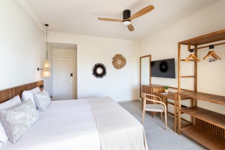 Playa Sur Tenerife - 19