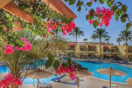 Palm Beach Resort - 58