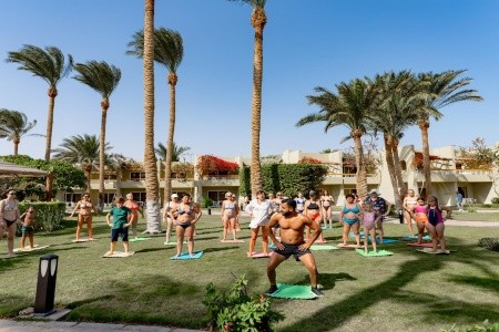 Palm Beach Resort - 89