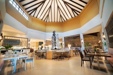 Hideaway At Royalton Punta Cana - 26