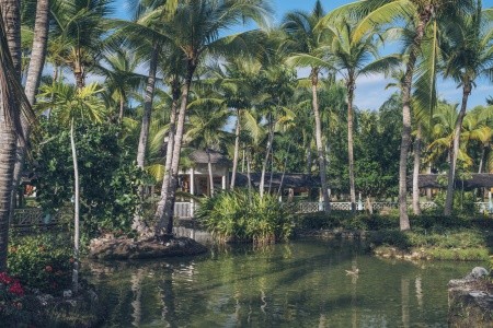 Iberostar Selection Bávaro - 7