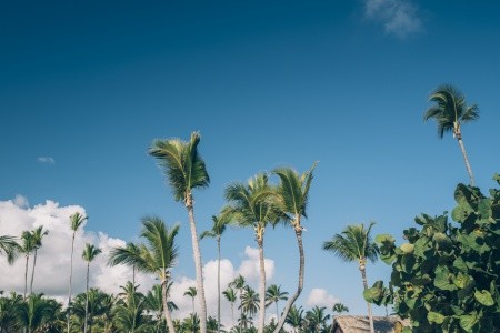 Iberostar Selection Bávaro - 66