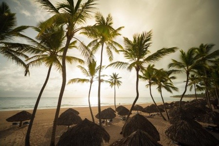 Tropical Deluxe Princess - 30