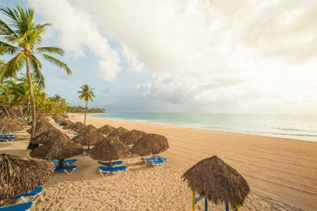 Tropical Deluxe Princess - 32