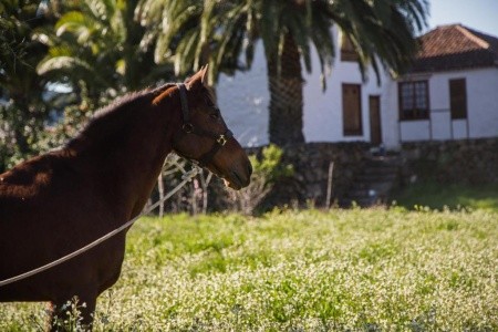 La Casona Del Patio - 7