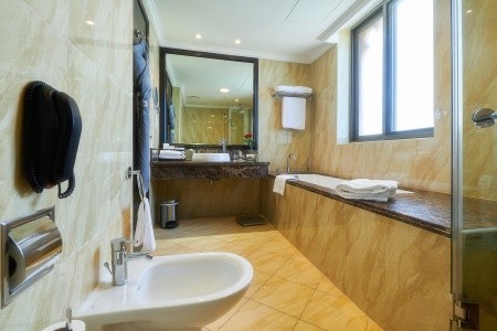 Bahi Ajman Palace - 29