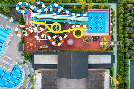 Delphin Imperial - 50