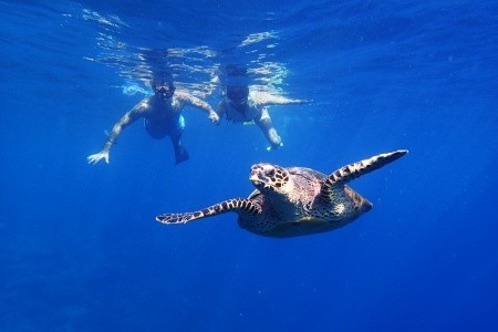 Holiday Inn Resort Kandooma - 83