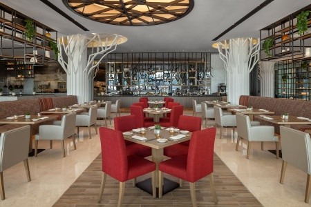 Marriott Marquis Dubai - 24