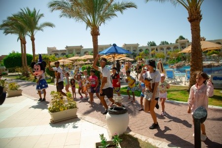 Serenity Ross Park Collection - 75